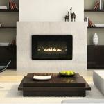 Loft Direct Vent Fireplace by White Mountain Hearth- available in see thru and outdoor models