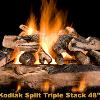 Kodiak Series logs and the Double-Stack/Triple-Stack burner system were finalists for the prestigious Vesta award for gas logs at the 2008 HPBExpo.