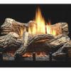 The Flint Hill Log Set features richly detailed, hand-painted logs mounted atop our new vent-free Contour Burner. This complete set includes glowing embers to add to the illusion of a real wood fire at any heat setting.  