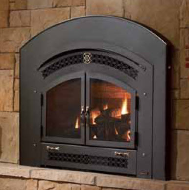 dual sided gas fireplace insert